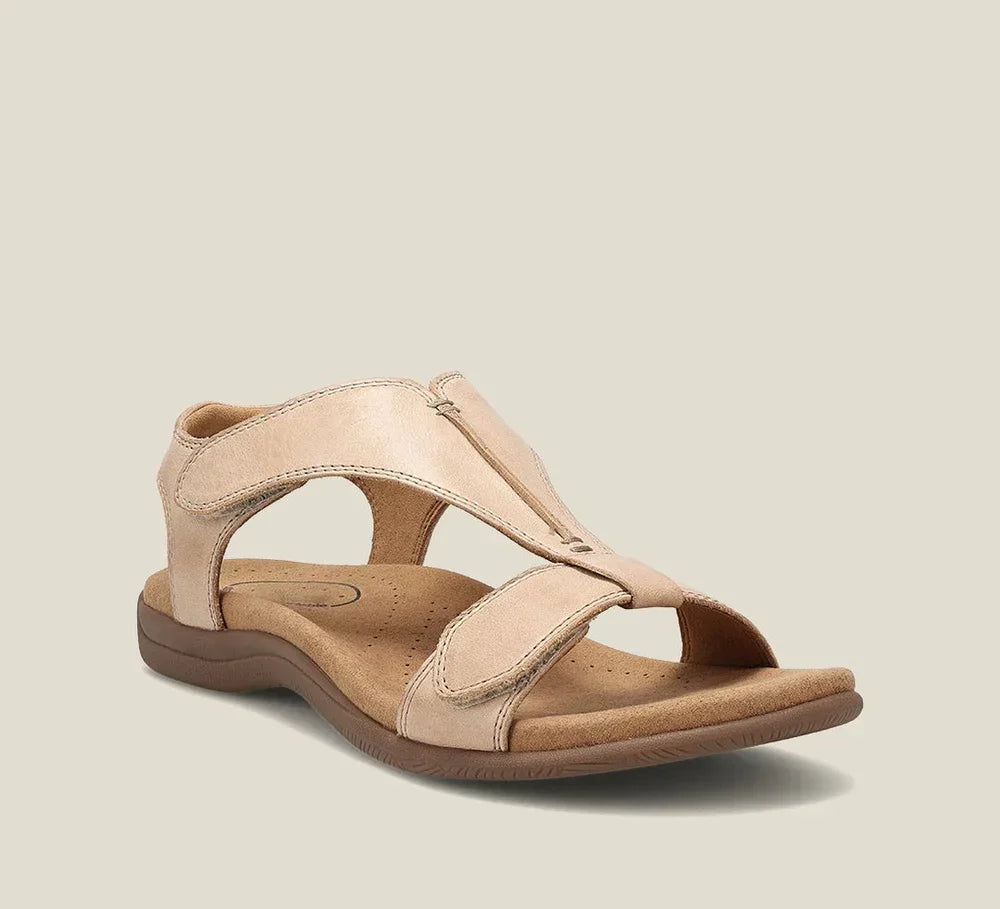 TREMBLAY MONTRÉAL | SANDALES À T POUR FEMMES